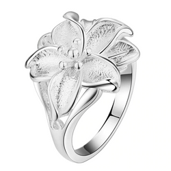 fashion jewelry Ring for Women